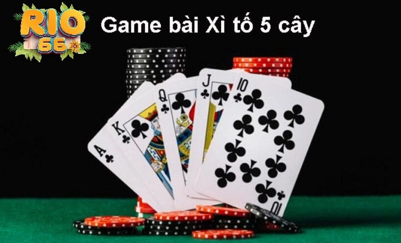 Các thuật ngữ thường gặp trong Bài Xì Tố Rio66